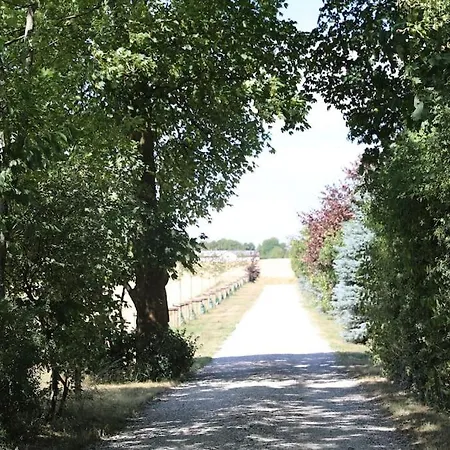 Small On Homestead Lille Skensved